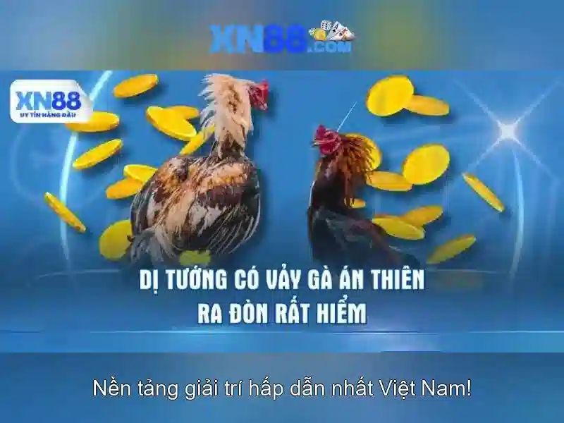 💎trang bóng cá cược💎