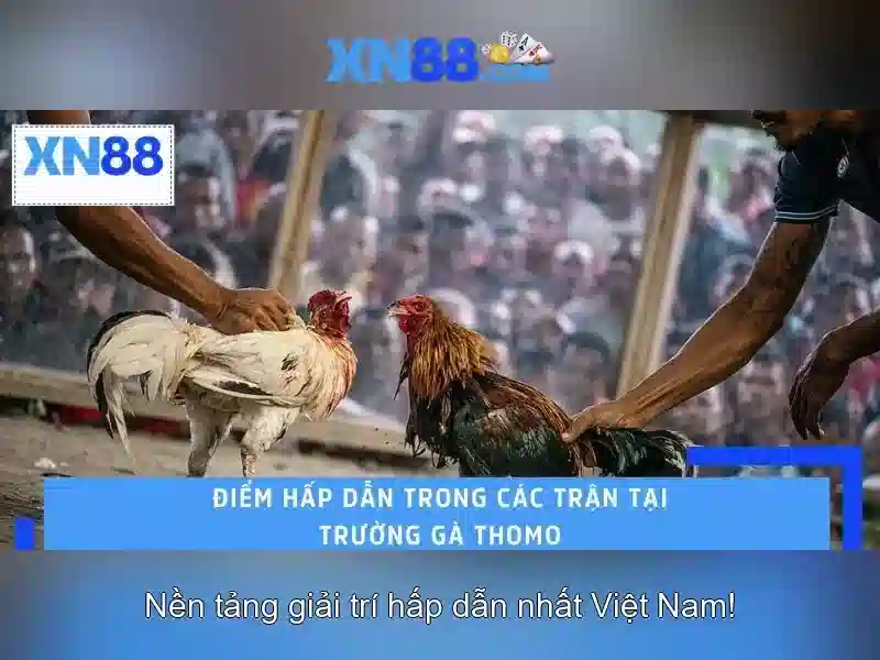 💎fun88 hay link vào nhà cái xịn xò nhất💎
