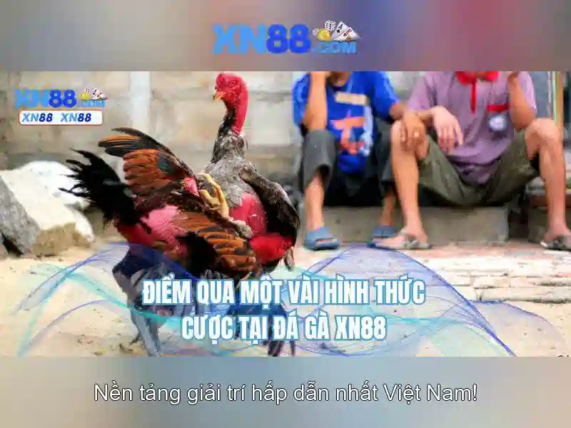 💎truc tiếp keo nhà cái💎