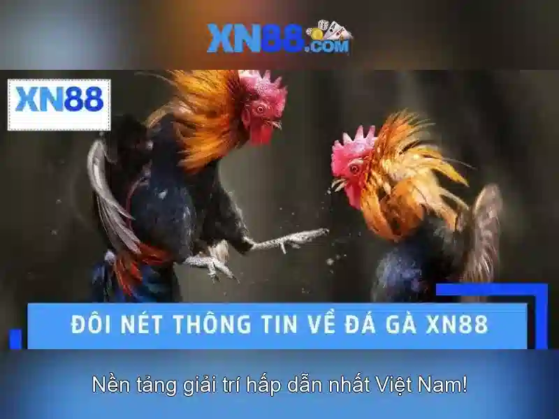 💎đánh bạc sunwin bị bắt💎