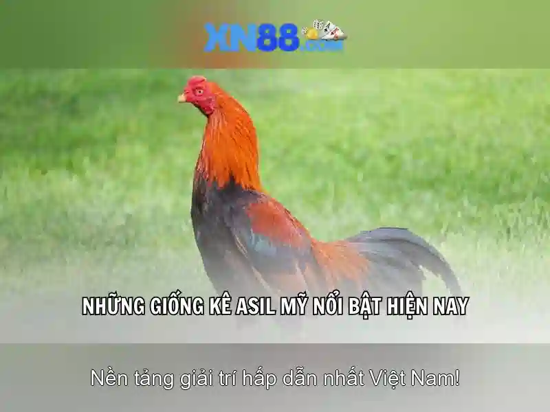 💎latest brian christopher slots💎