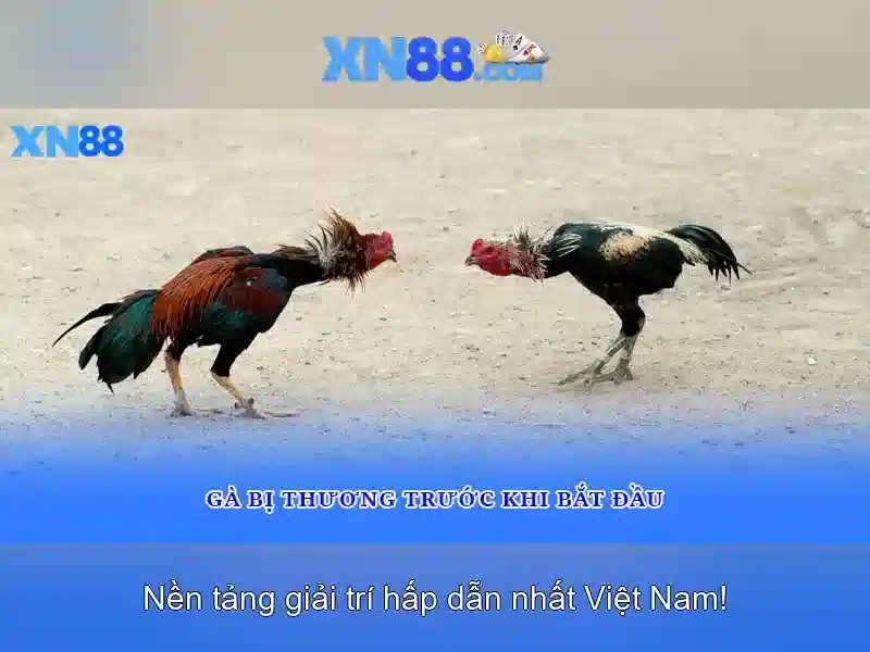 💎ấn độ dậy sóng vì vụ án nữ bác sĩ💎