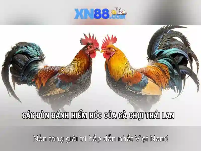 💎ty le ca cuoc ket qua bong da💎