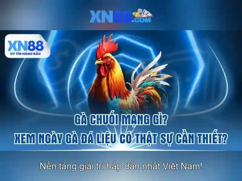 XN88 – Game Slot XN88 Đang Hot Nhất 2026 - XN88