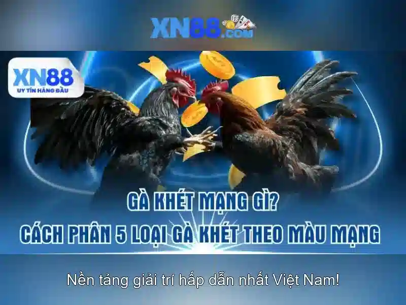 💎nhà bạn giàu cái gì cũng có💎