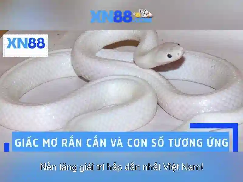 💎888 slot 178 agent💎