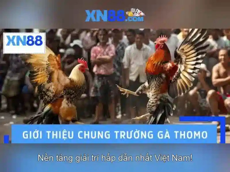 💎cách kiếm tiềm trên web ca cuoc💎