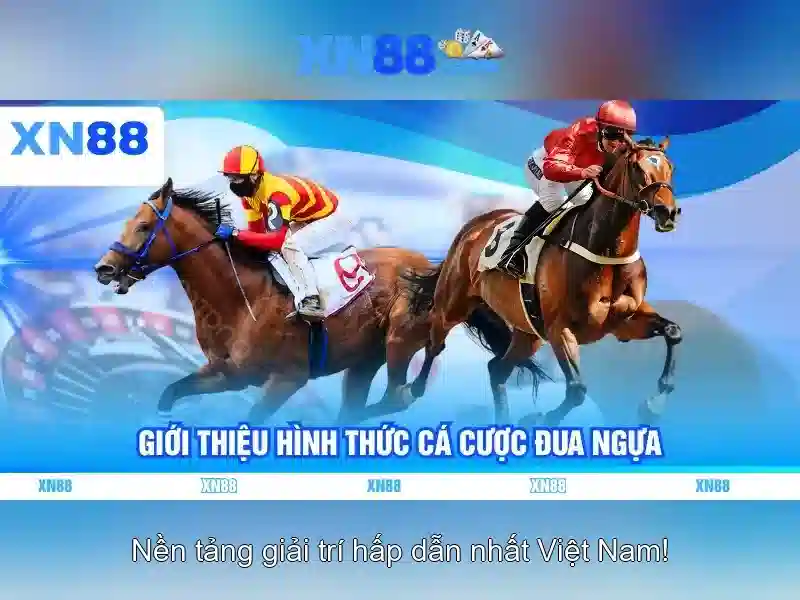💎nhà cái huy tín💎