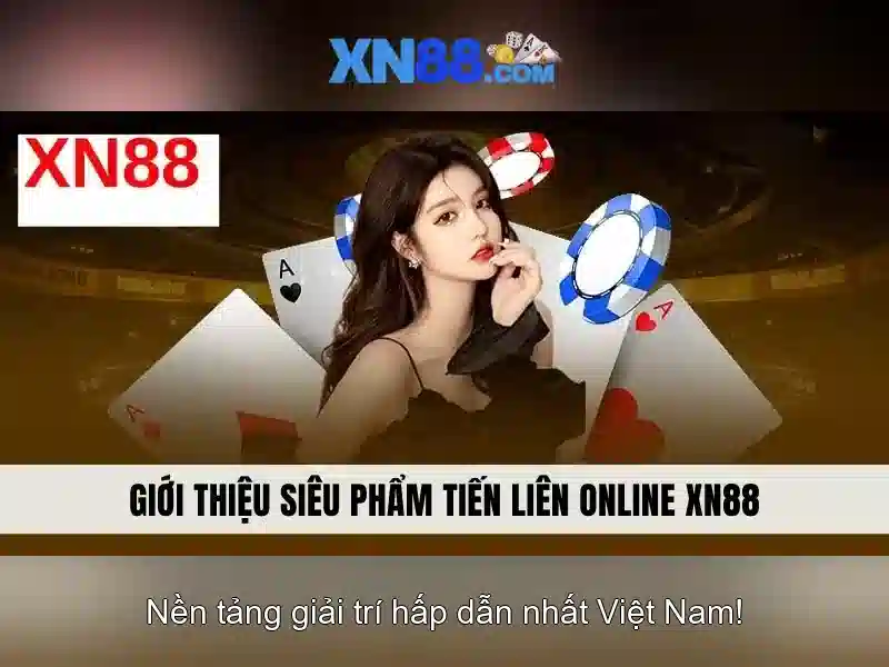 💎coin cá cược💎