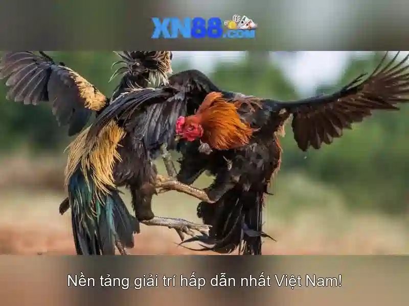 💎sòng bạc hoàng gia phỏng theo💎