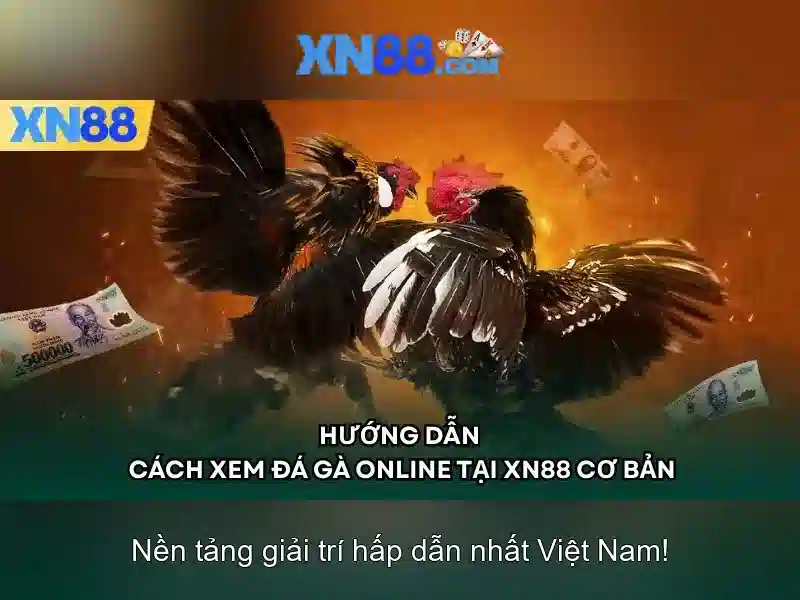 💎kèo nhà cái việt nam-thái lan💎