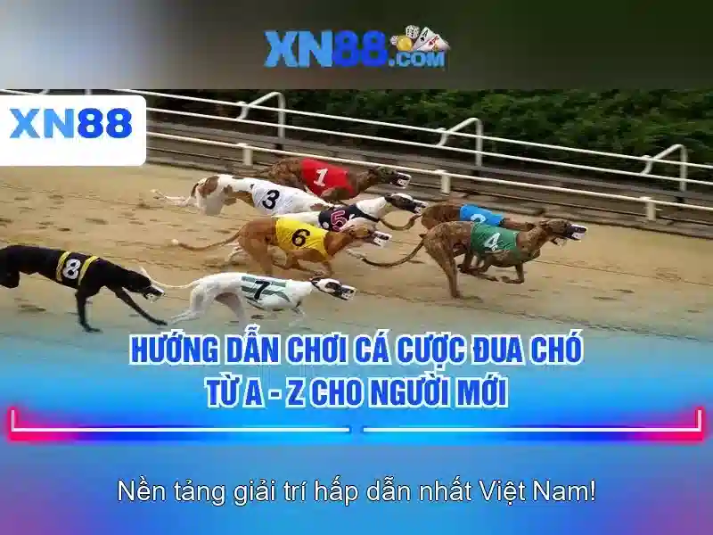 Đăng Nhập XN88 – Hướng Dẫn Truy Cập Nhanh Chóng Dễ Dàng - XN88