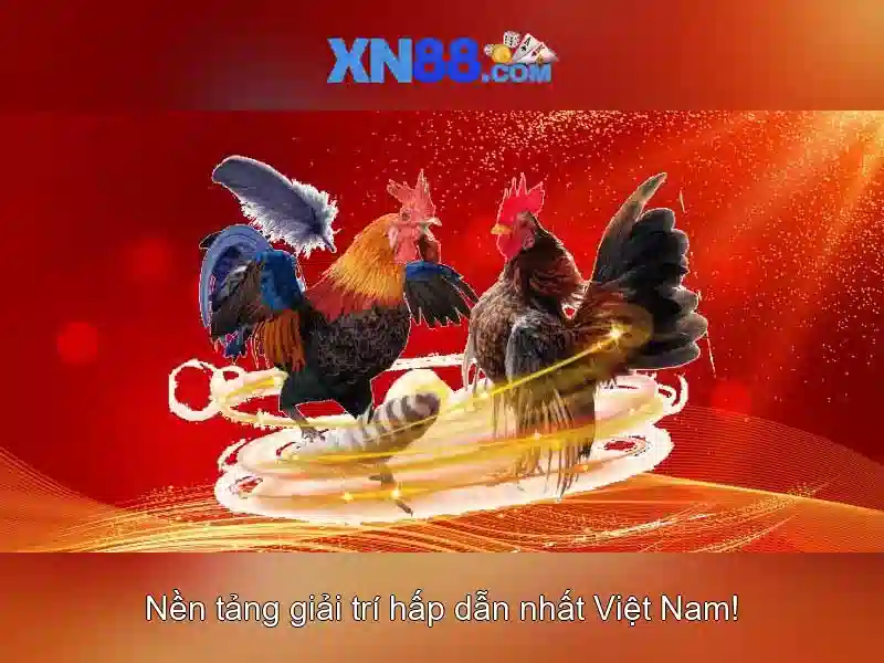 💎trang cá cược bóng đá kakamegaboys💎