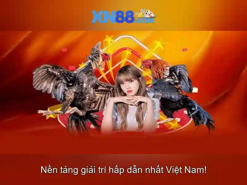 💎bài đánh giá về bac si phu quoc viet💎