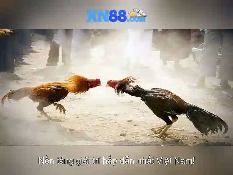 💎game nổ hũ 78💎