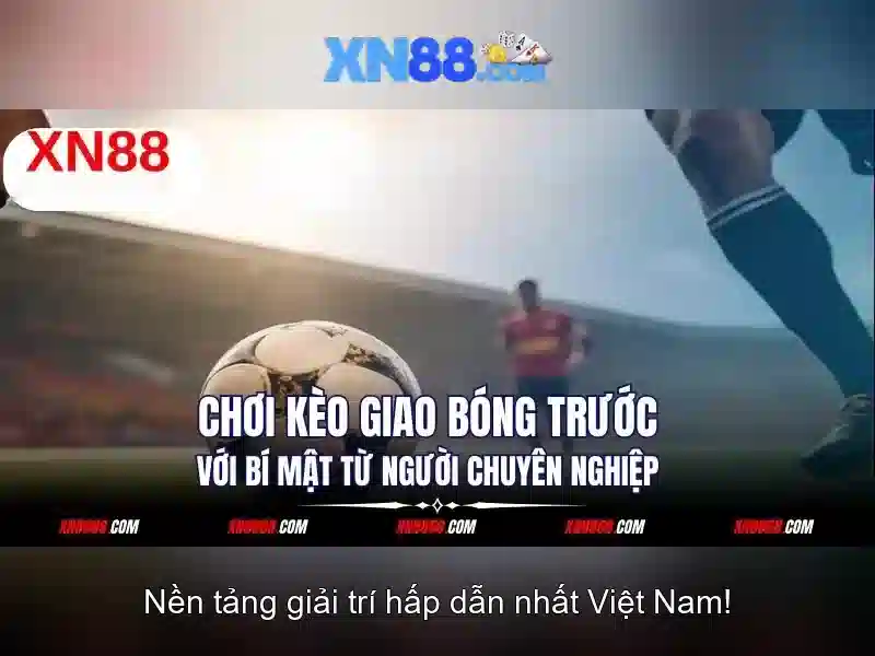 💎nhà cải hd88💎