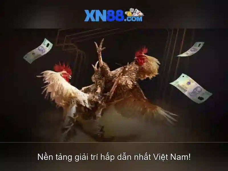 💎cá cược thể thao kèo châu á sbobet💎