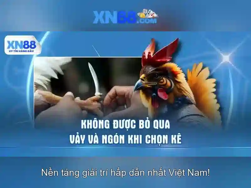 💎cả cuộc đời này anh không thể💎