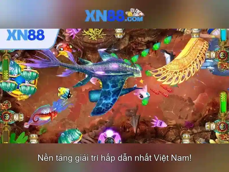 💎cách xem cá cược bóng đá💎