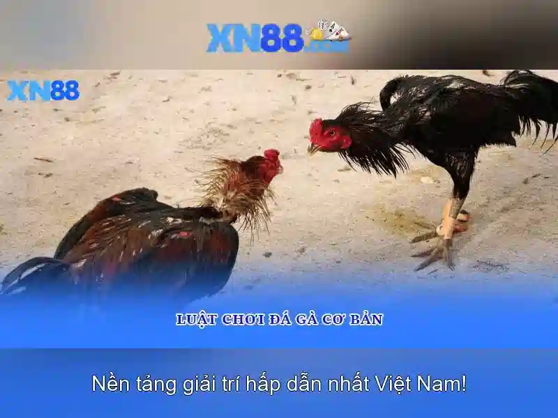 💎kèo cá cược bóng đá c1💎