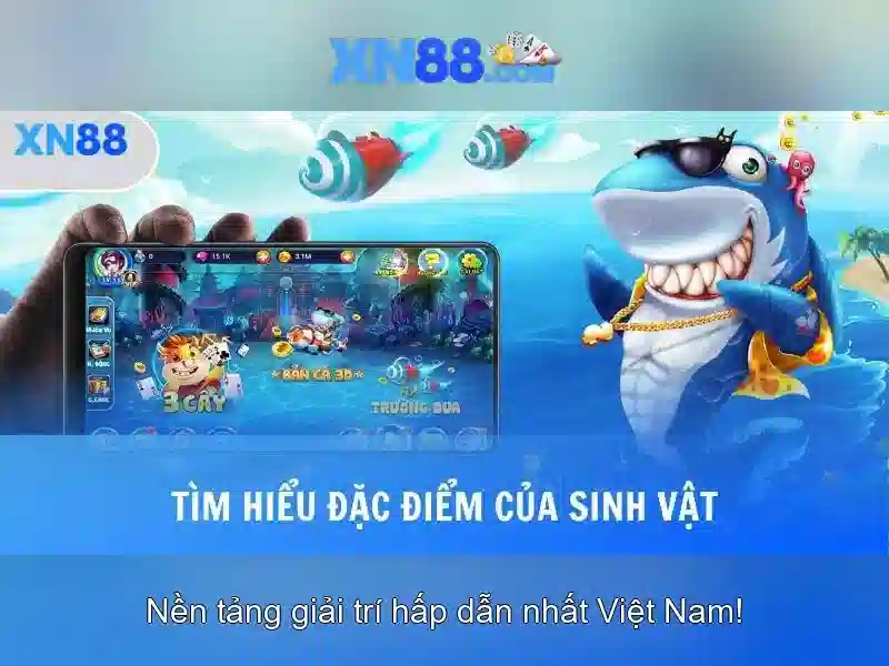 💎hunter x hunter kite crazy slots💎