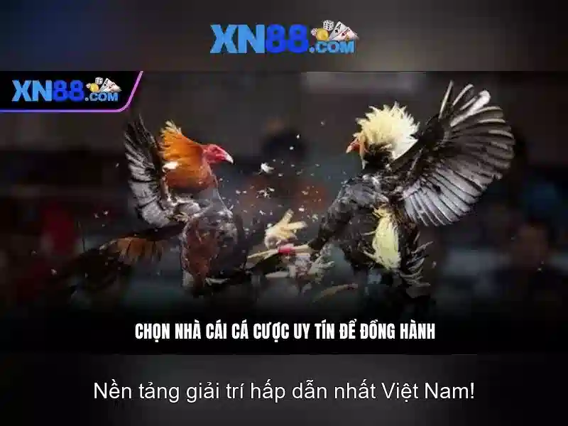 💎nha cai 88 nhacai88💎