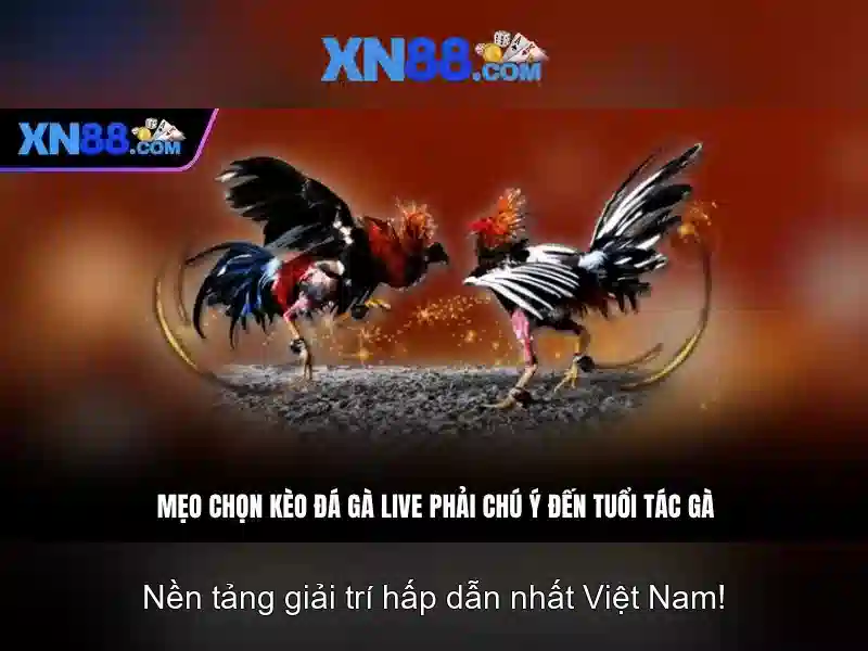 💎sống tệ bạc là gì💎
