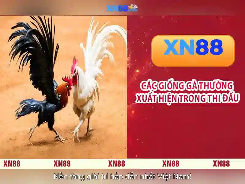 💎virgin media slots login💎