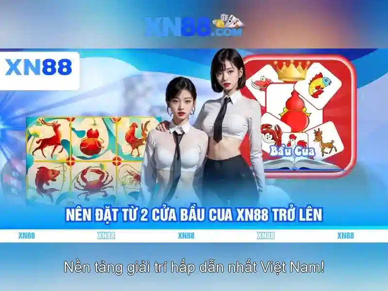 💎keo nha cai keo top💎