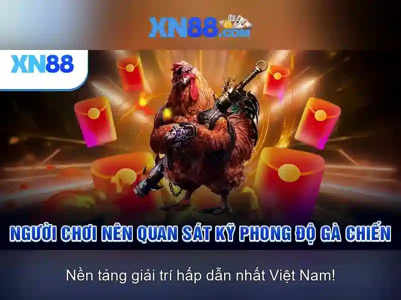 💎bingo and slots games💎