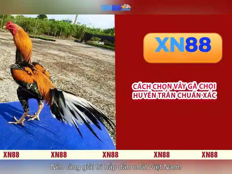 💎tội đánh bạc theo khoản 2 điều 321 blhs.💎