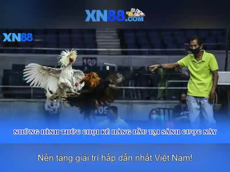 💎bóng đá cá cược euro💎