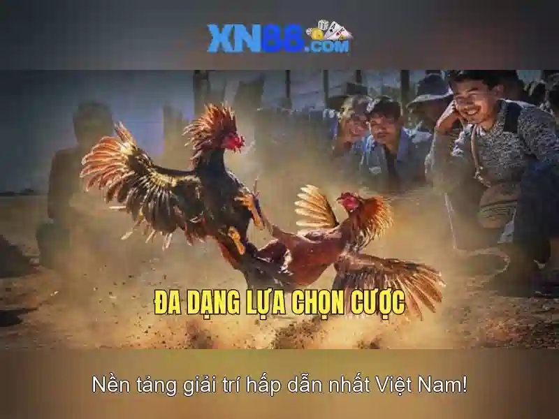 💎v sport cá cược💎