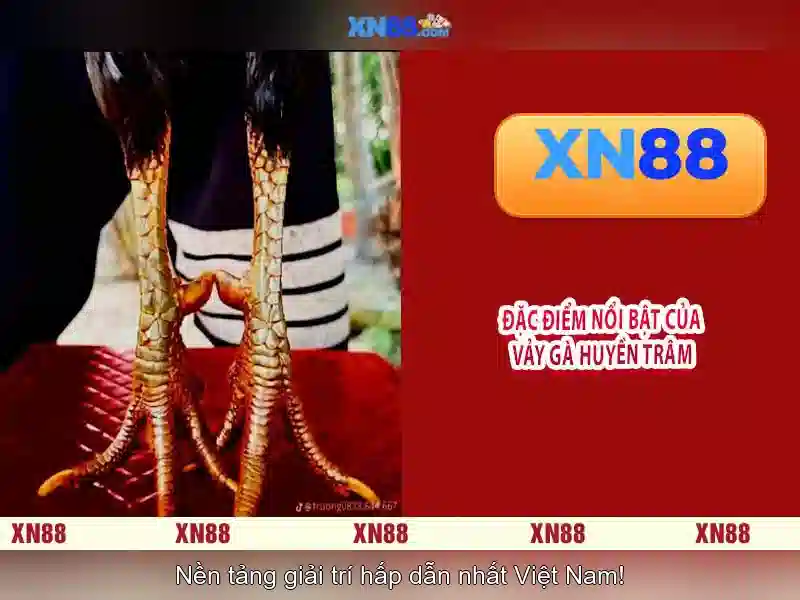  slot điện thoại - XN88