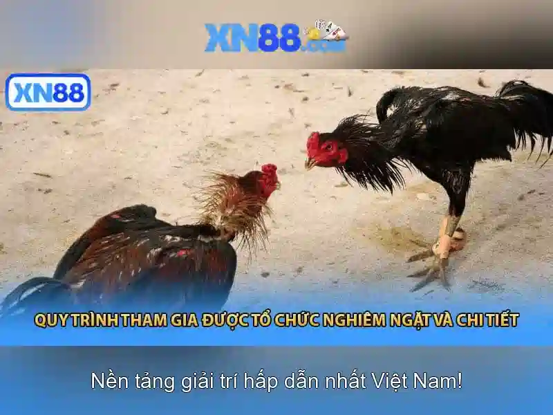 💎xem bóng da keo nhà cái💎