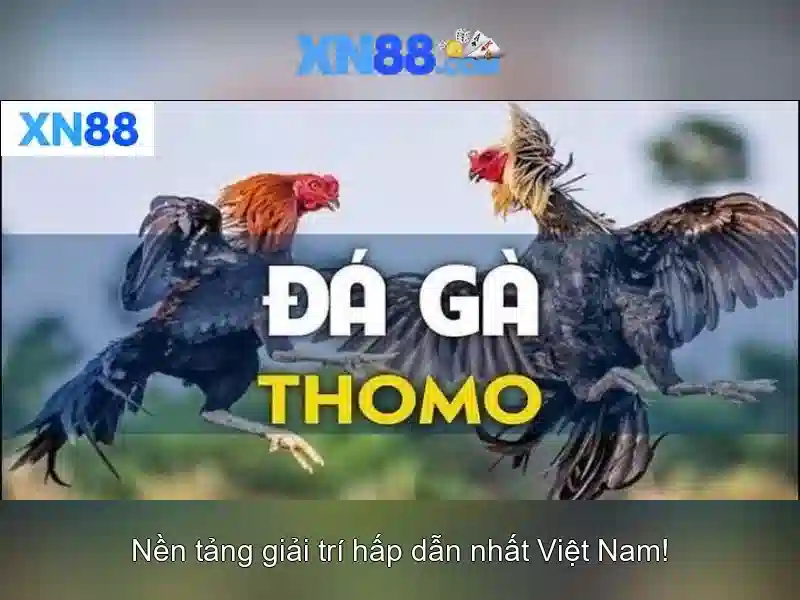 💎cá cược nbet net💎