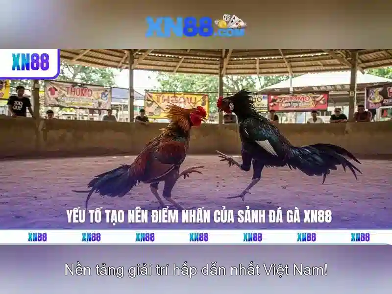 💎kèo nhà cái ngoại hạng anh💎