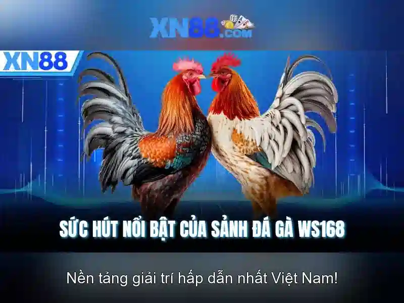 💎judi slot osg online💎
