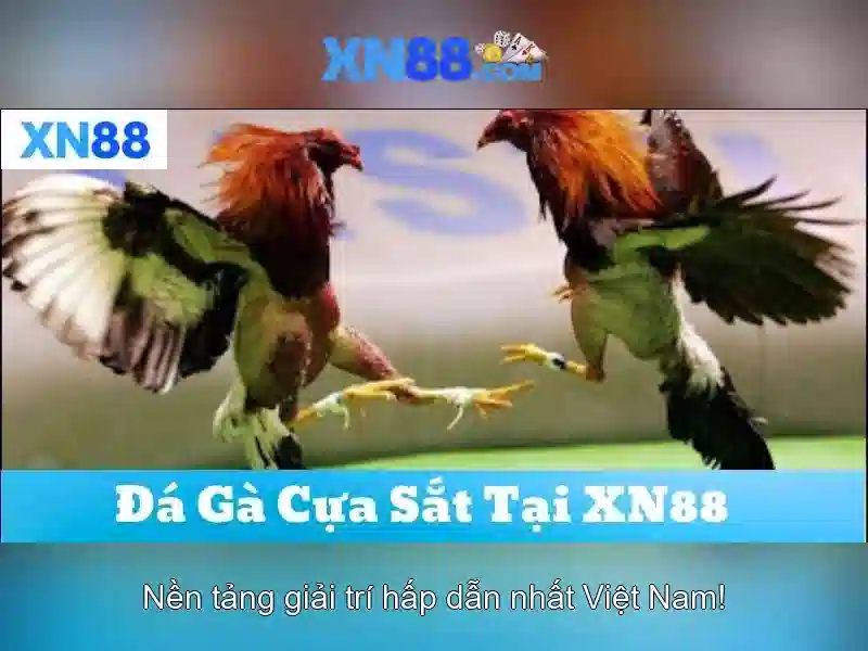 💎mp3 dap mo cuoc tinh quang lap ca💎