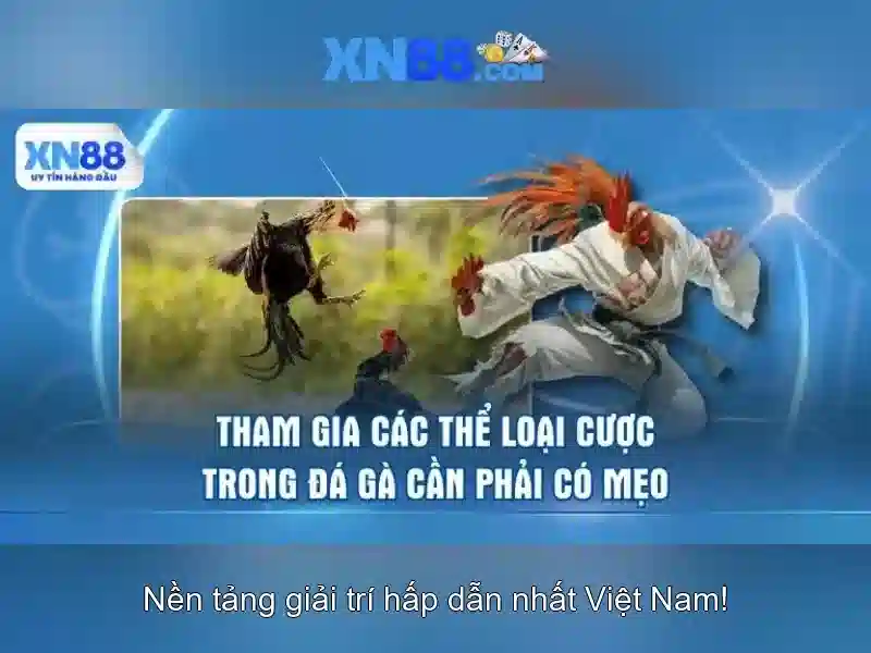 💎nhà cái xn88 có uy tín không💎