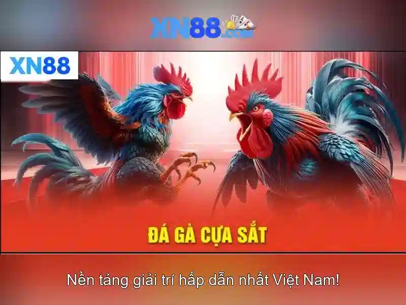 💎nhà cái uy tín +8💎