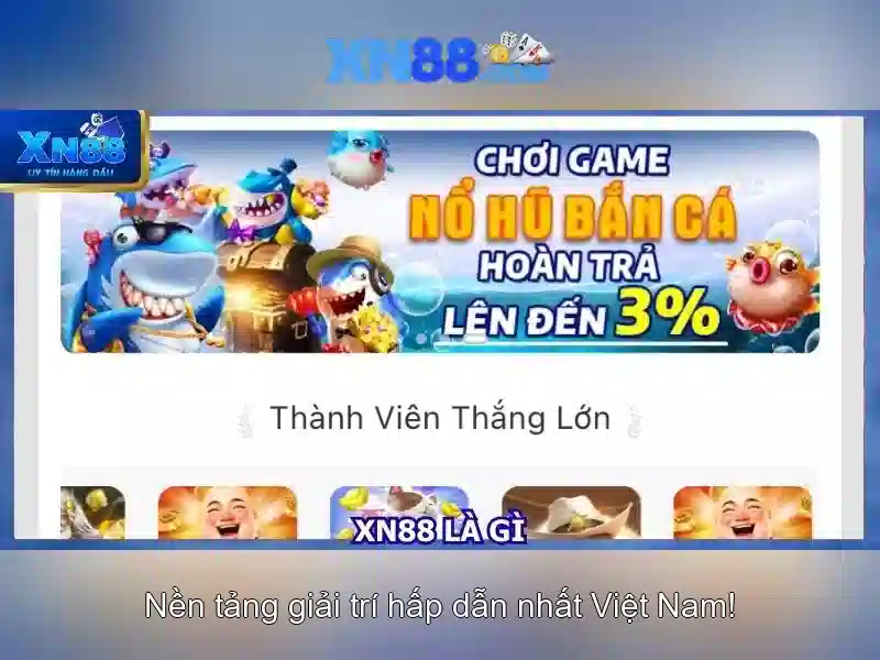 💎xn88 711.com💎