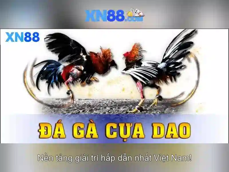 💎ty le ca cuoc ty so euro 2016💎