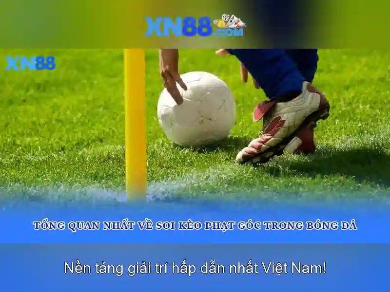 💎cây bạc hà ăn sống được không💎