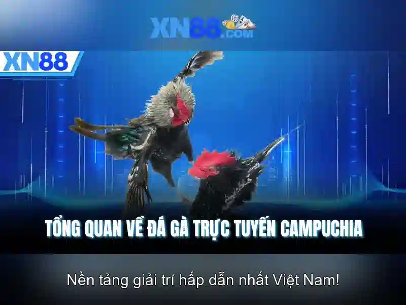 💎nước chủ nhà đăng cai world cup 2026💎