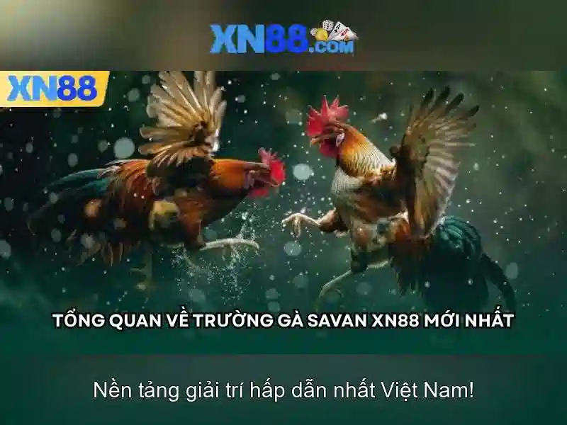 💎slots kingdom bonus💎