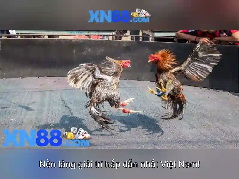 💎t lý 888slot link💎