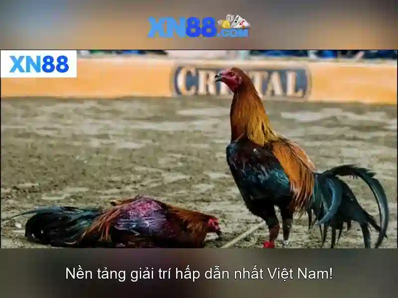 💎play double diamond slot online💎