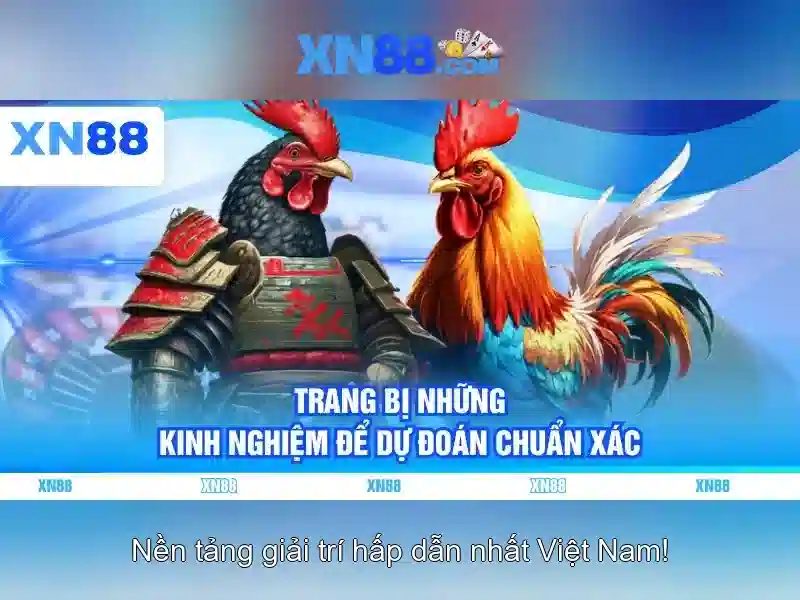 💎cai win tai nha tphcm💎
