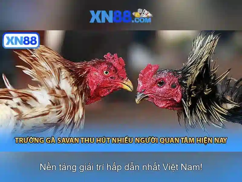 💎cả cuộc này anh không tha thứ💎